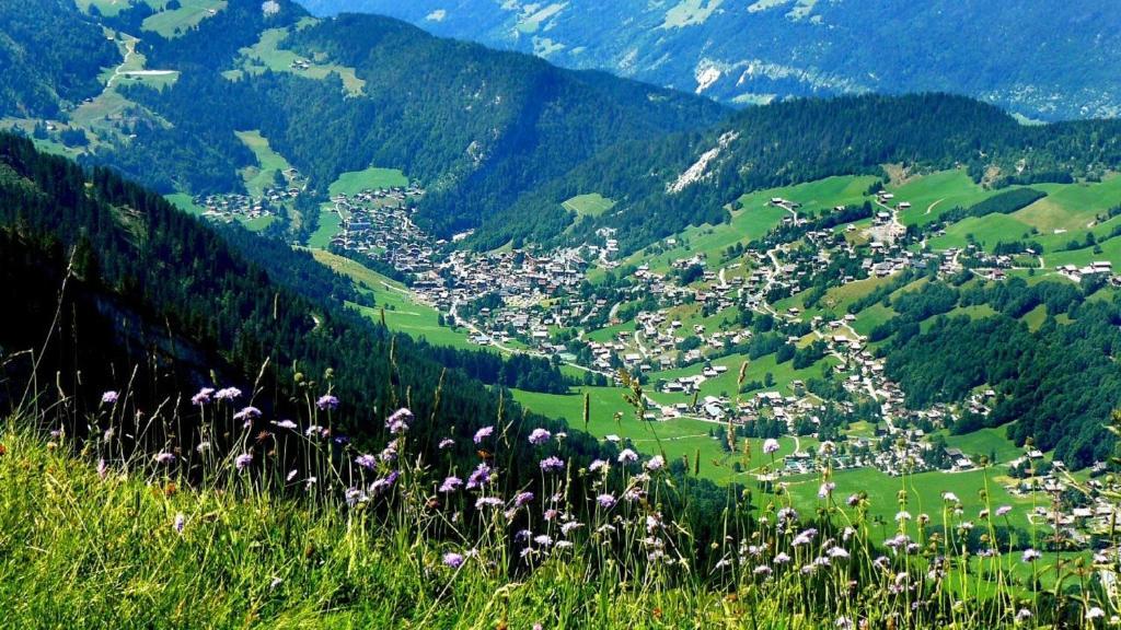 Residence - Les Grandes Alpes La Clusaz Buitenkant foto