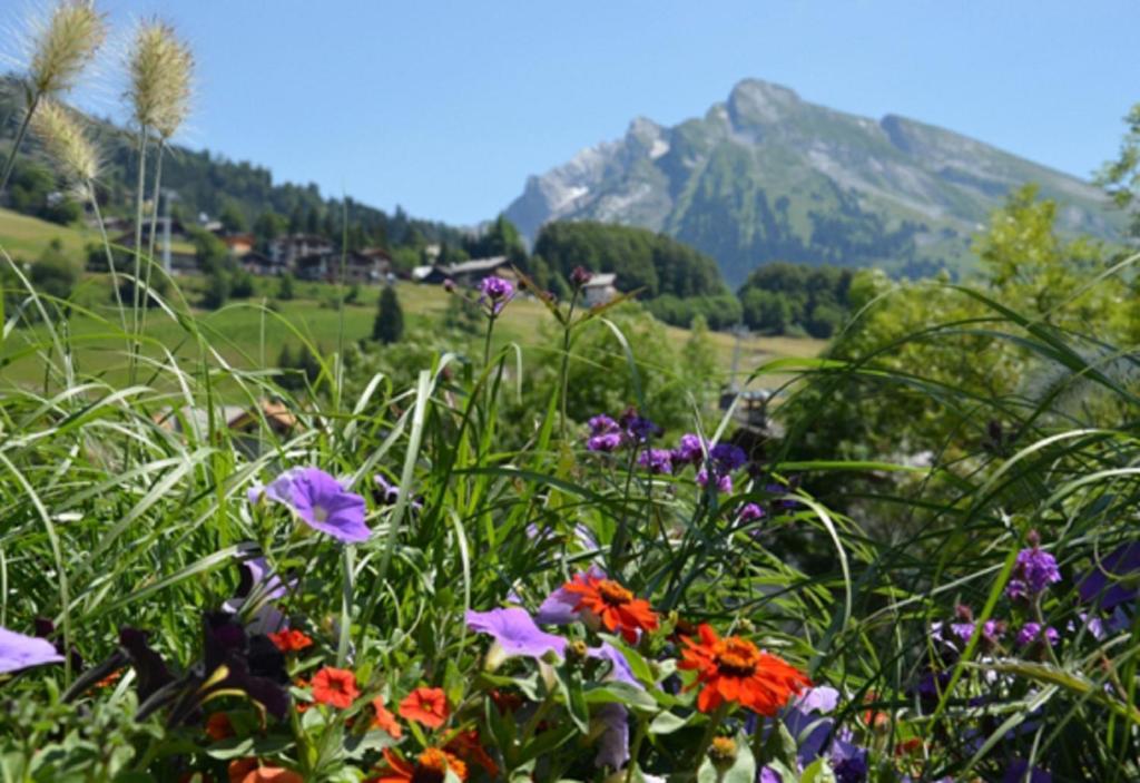Residence - Les Grandes Alpes La Clusaz Kamer foto
